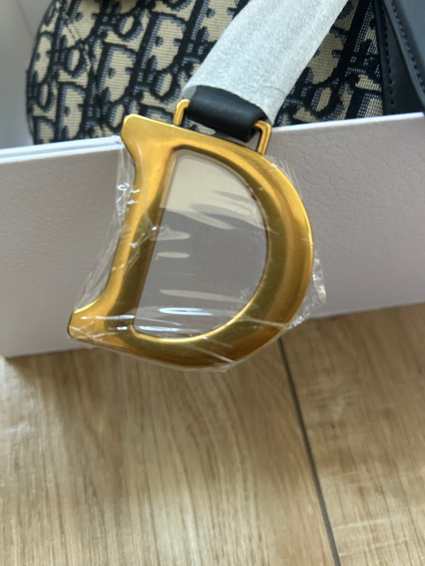 Dior Saddle (odmah dostupno)