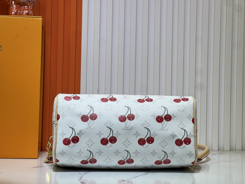 Louis Vuitton Speedy