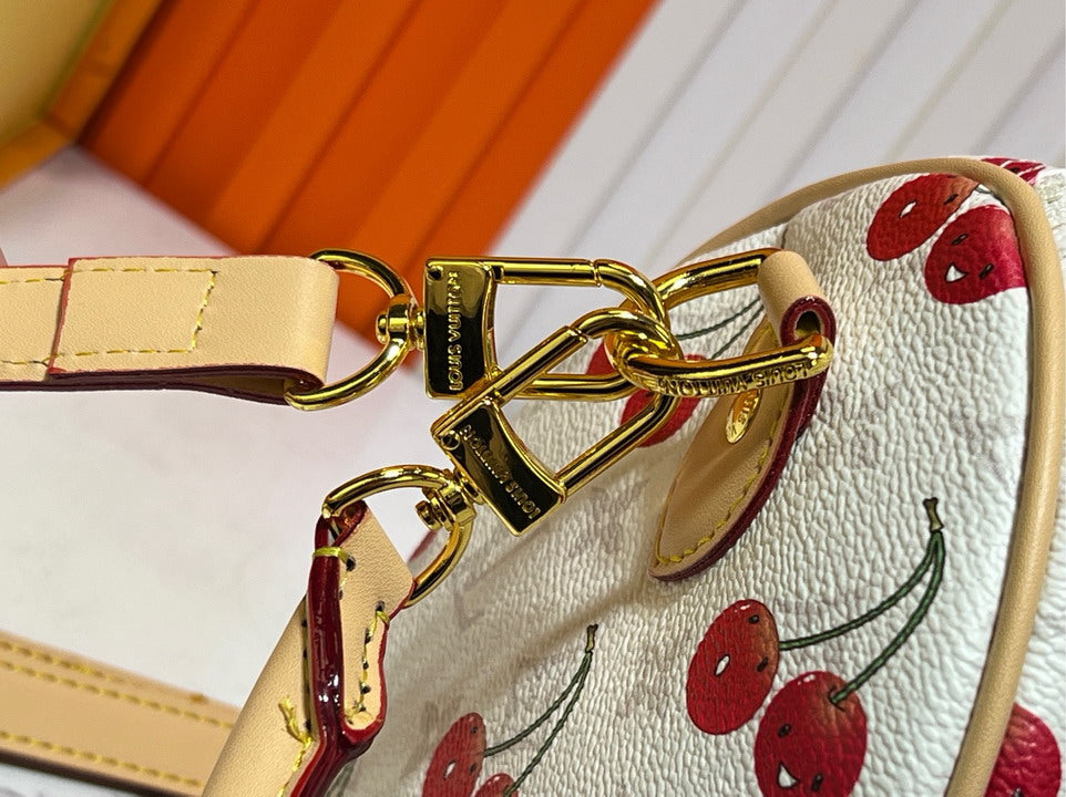 Louis Vuitton Speedy