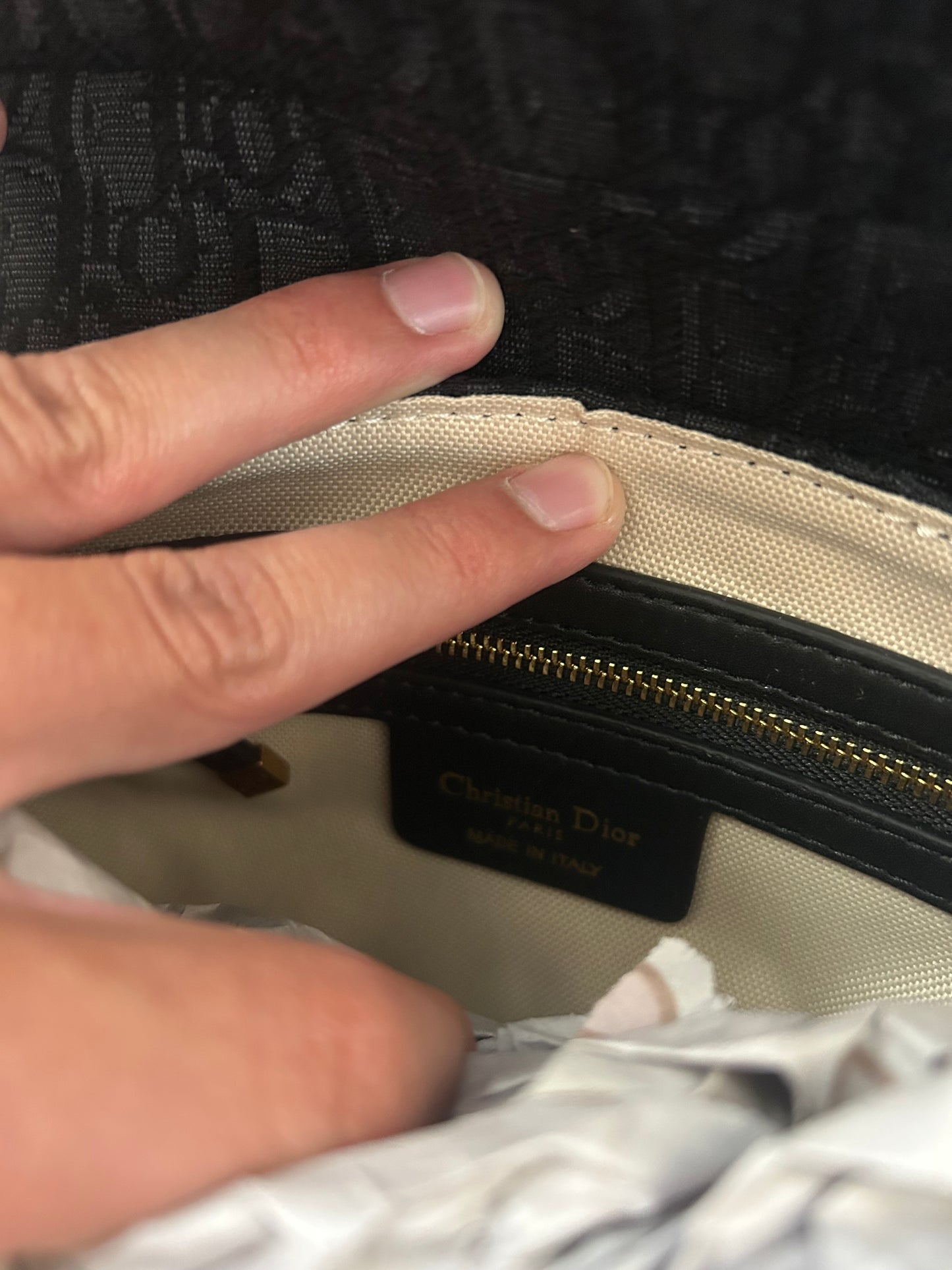 Dior Saddle (odmah dostupno)