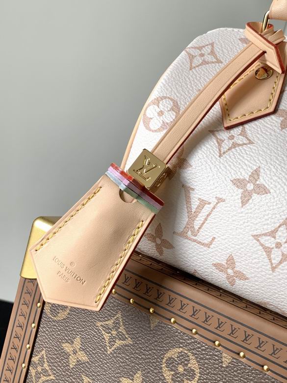 Louis Vuitton Speedy