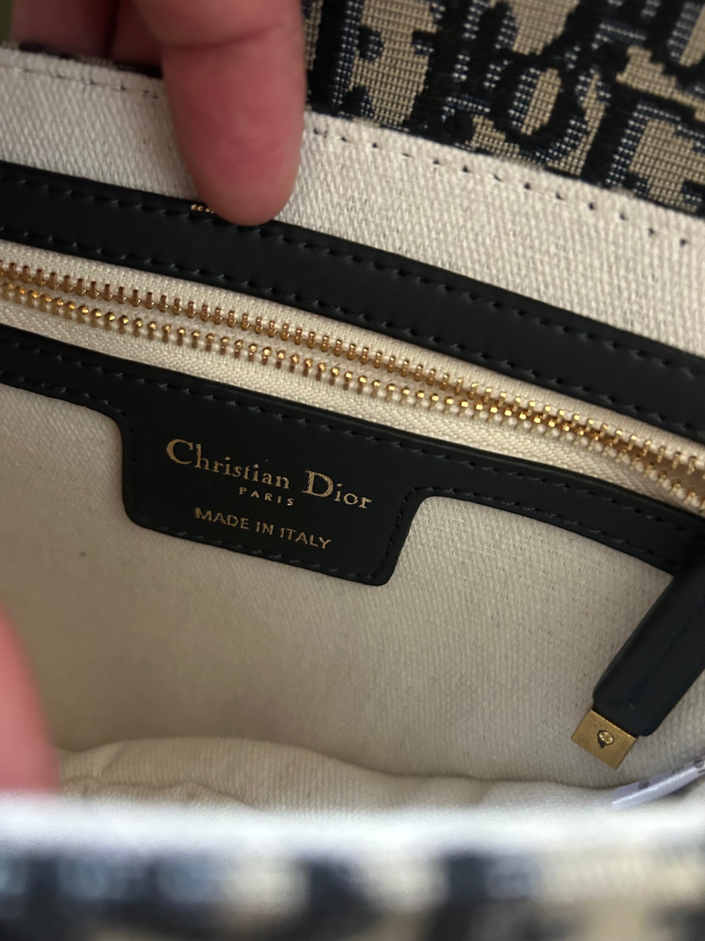 Dior Saddle (odmah dostupno)