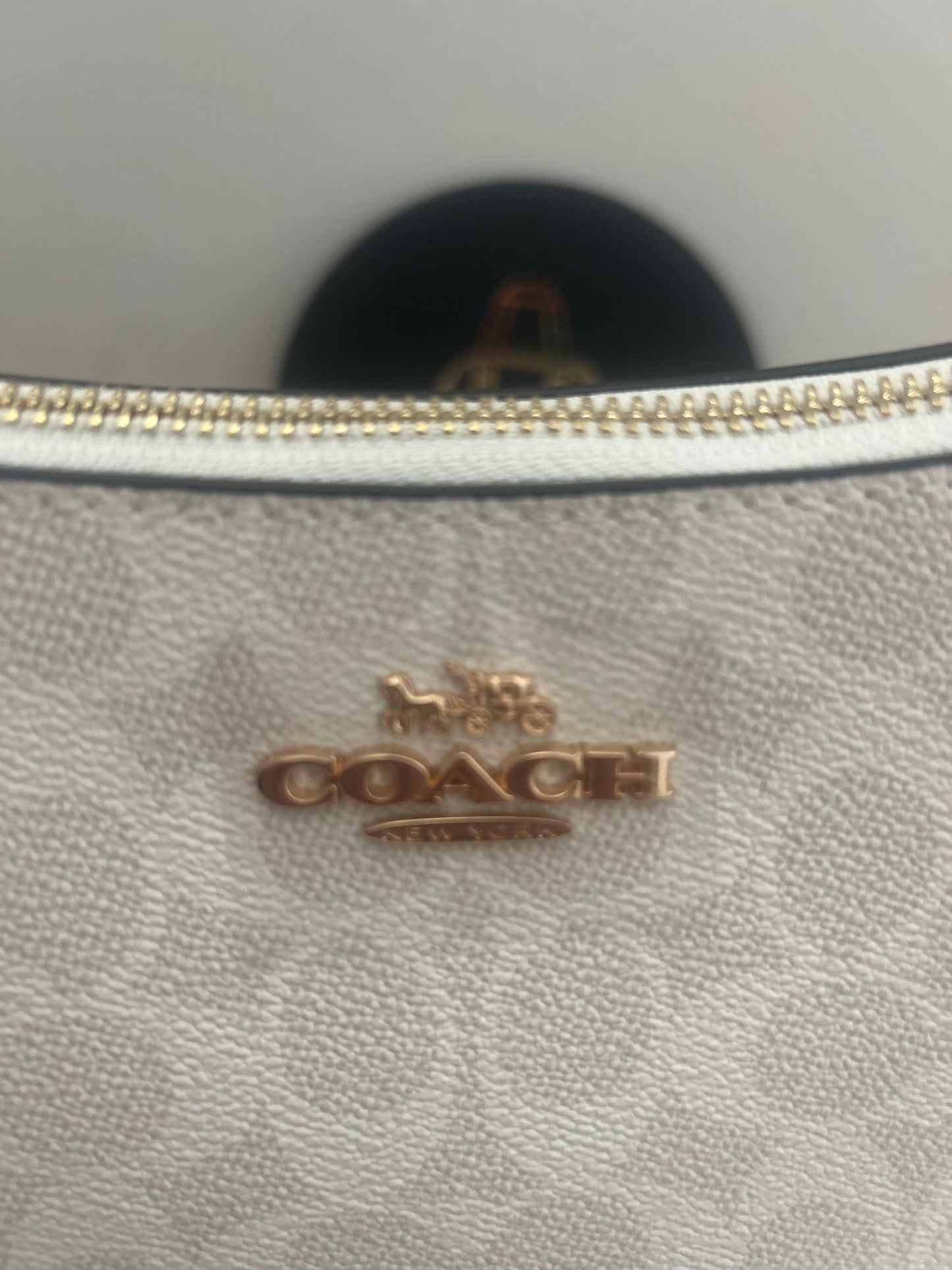 Coach (odmah dostupno)