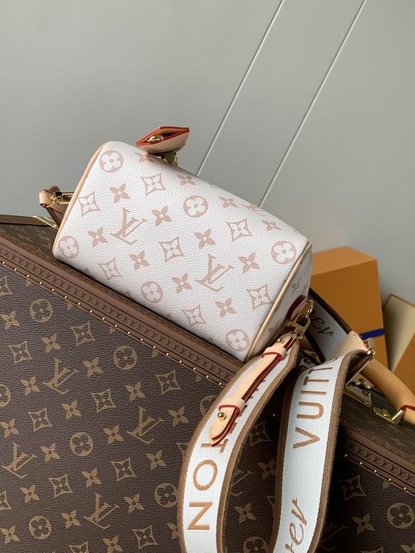 Louis Vuitton Speedy