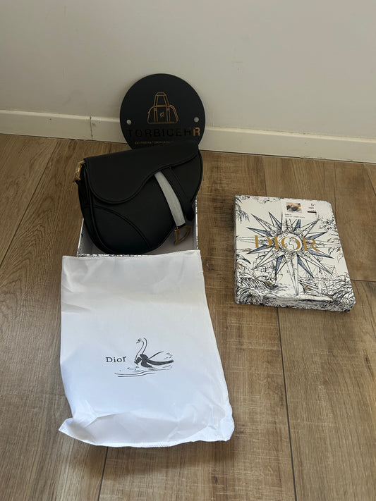 Dior Saddle (odmah dostupno)
