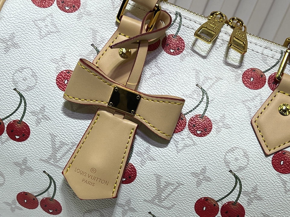 Louis Vuitton Speedy