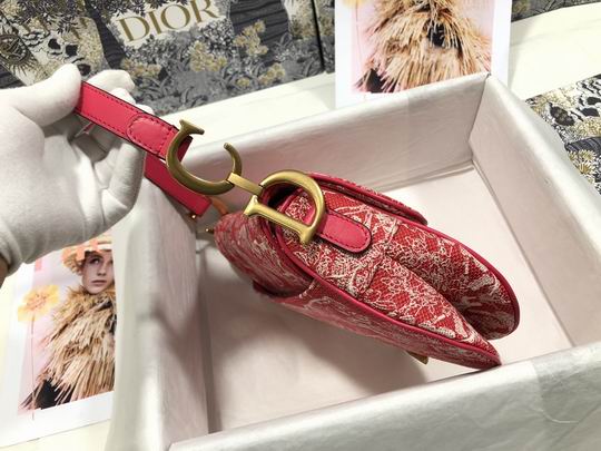 Dior Saddle
