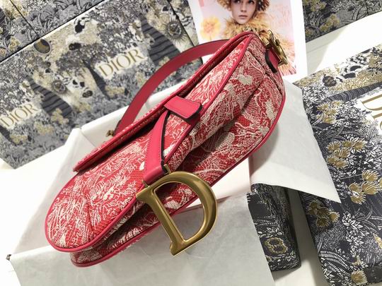 Dior Saddle