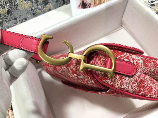 Dior Saddle