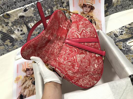 Dior Saddle