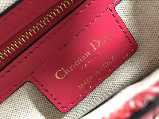 Dior Saddle